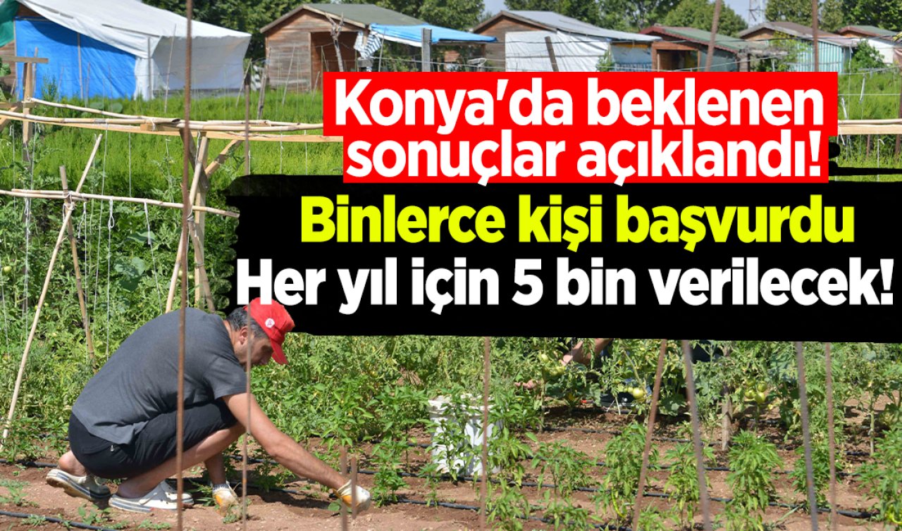 Konya’da beklenen sonuçlar açıklandı! Binlerce kişi başvurdu: Her yıl için 5 bin verilecek! 