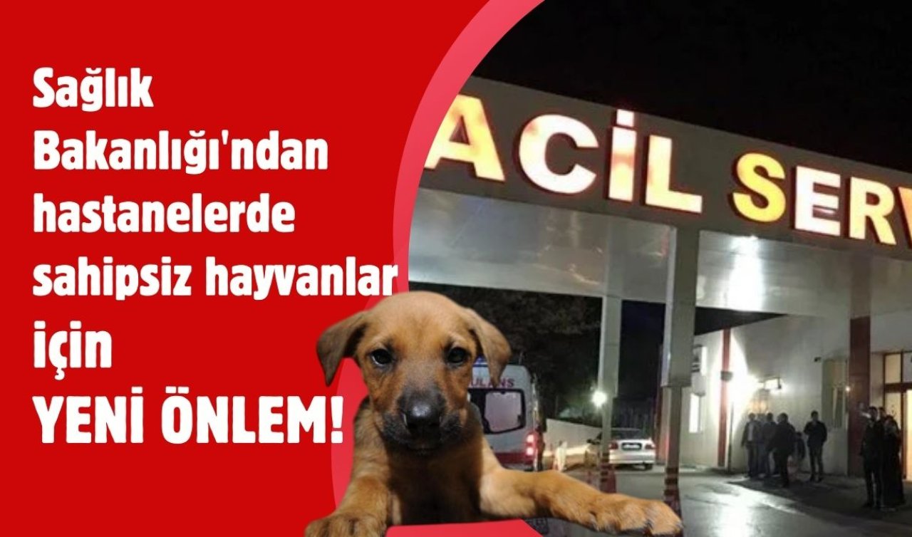  Sağlık Bakanlığı’ndan hastanelerde sahipsiz hayvanlar için yeni önlem