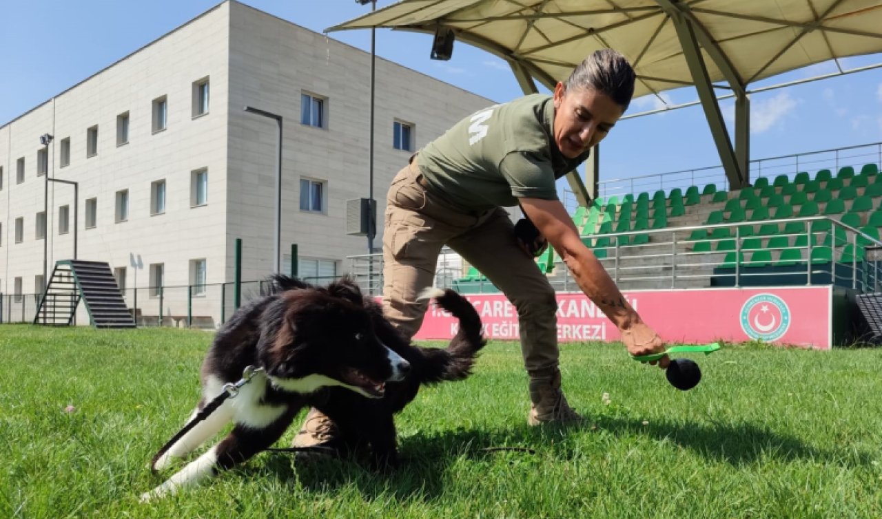  Bakanlığın dedektör köpekleriyle 4,1 ton uyuşturucu ele geçirildi