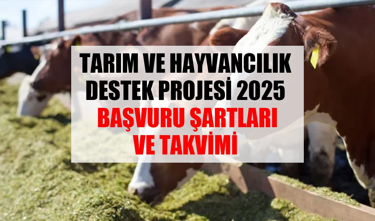 Tarım Ve Hayvancılık Destek Projesi 2025 Başvuru Şartları ve Takvimi | Kırsalda Bereket, Hayvancılığa Destek başvurusu ne zaman?, Kredi nasıl Alınır?