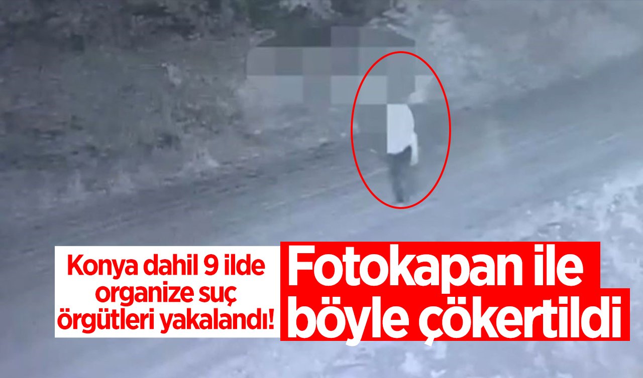 Konya dahil 9 ilde organize suç örgütleri yakalandı! Fotokapan ile böyle çökertildi