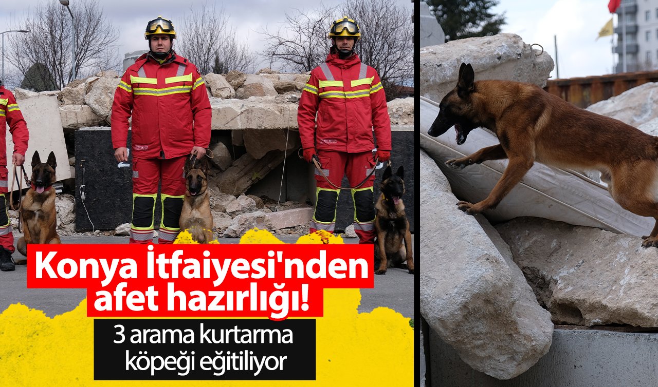 Konya İtfaiyesi’nden afet hazırlığı! 3 arama kurtarma köpeği eğitiliyor