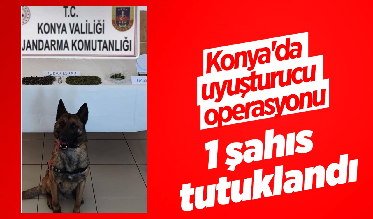 Konya’da uyuşturucu operasyonu: 1 şahıs tutuklandı