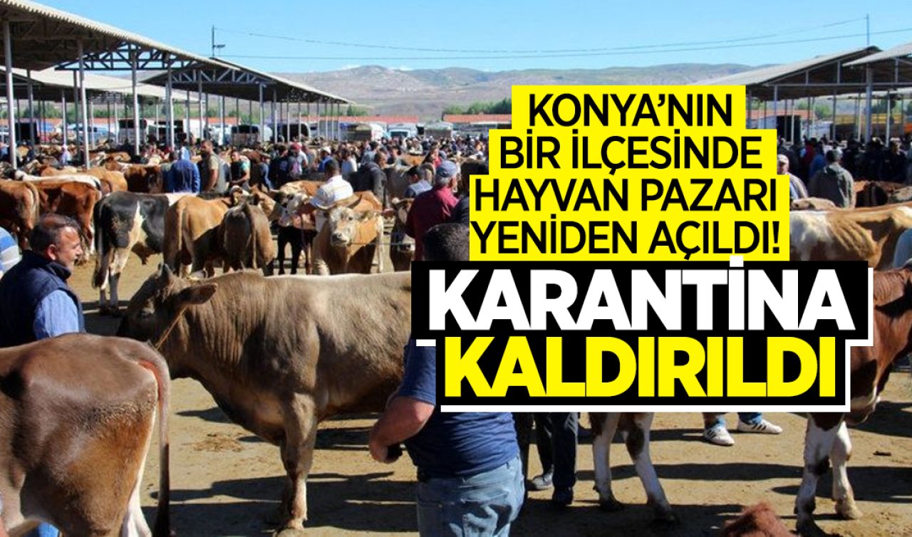 Konya’nın bir ilçesinde hayvan pazarı yeniden açıldı! Karantina kaldırıldı