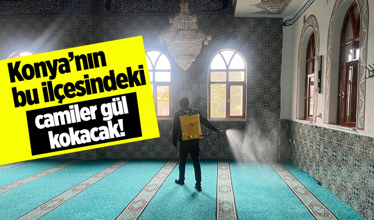 Konya’nın bu ilçesindeki camiler gül kokacak!