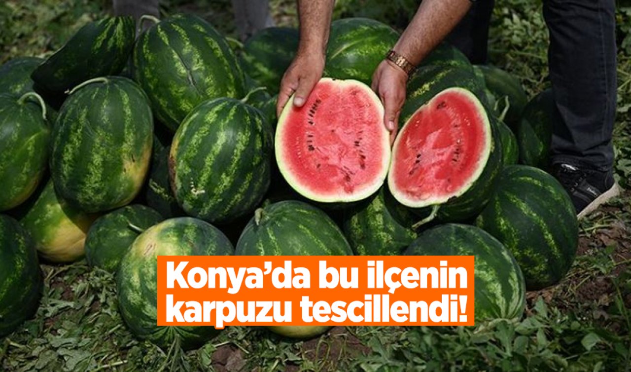 Konya’da bu ilçenin karpuzu tescillendi!