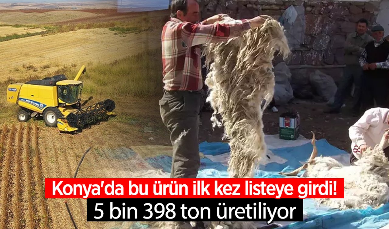 Konya’da bu ürün ilk kez listeye girdi! 5 bin 398 ton üretiliyor