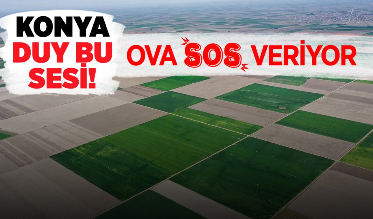 Konya duy bu sesi! Ova SOS veriyor 