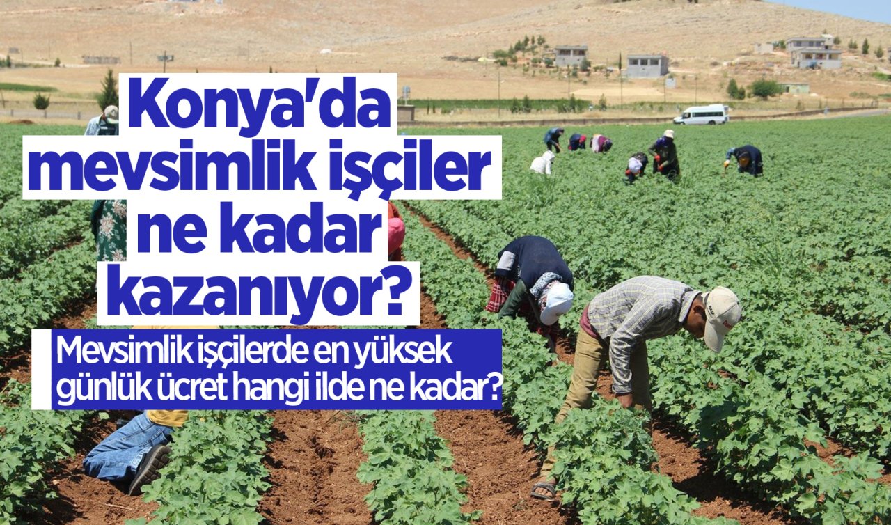 Konya’da mevsimlik işçiler ne kadar kazanıyor? En yüksek günlük ücret..