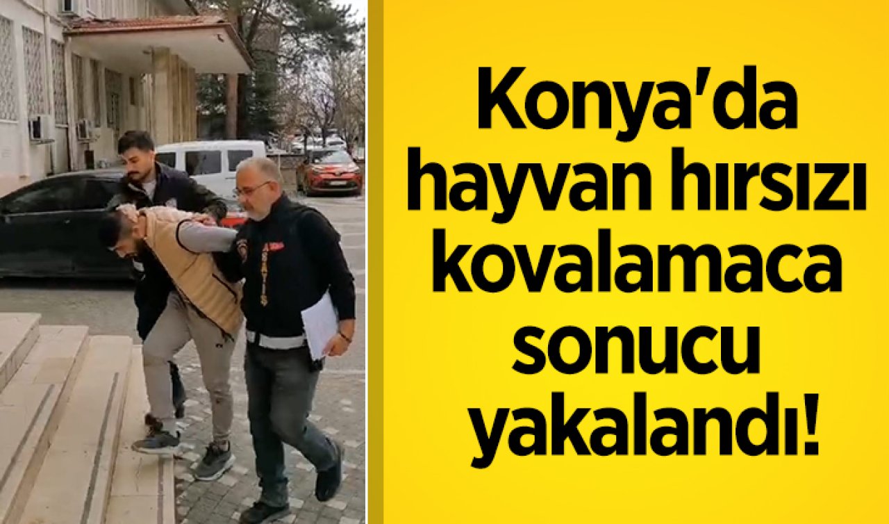 Konya’da hayvan hırsızı kovalamaca sonucu yakalandı!