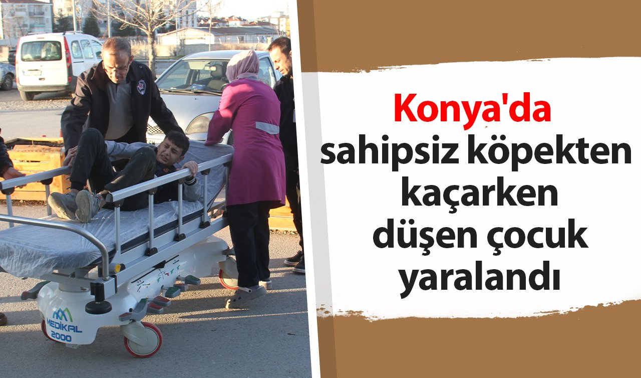 Konya’da sahipsiz köpekten kaçarken düşen çocuk yaralandı