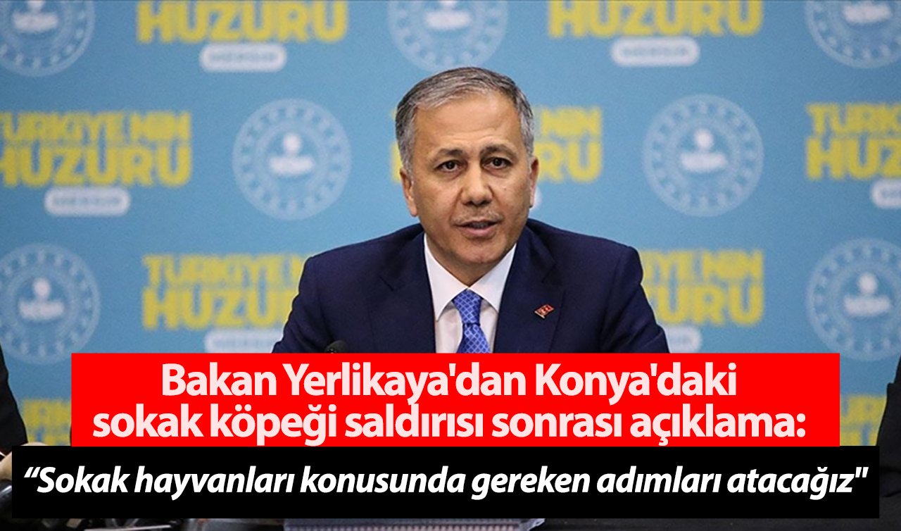 Bakan Yerlikaya’dan Konya’daki sokak köpeği saldırısı sonrası açıklama: “Gerekli adımları atacağız’’