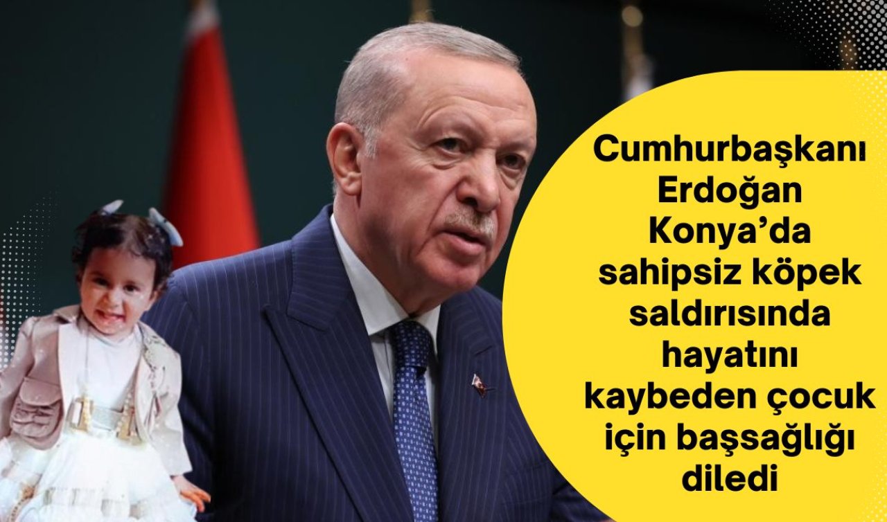 Cumhurbaşkanı Erdoğan Konya’da sahipsiz köpek saldırısında hayatını kaybeden çocuk için başsağlığı diledi