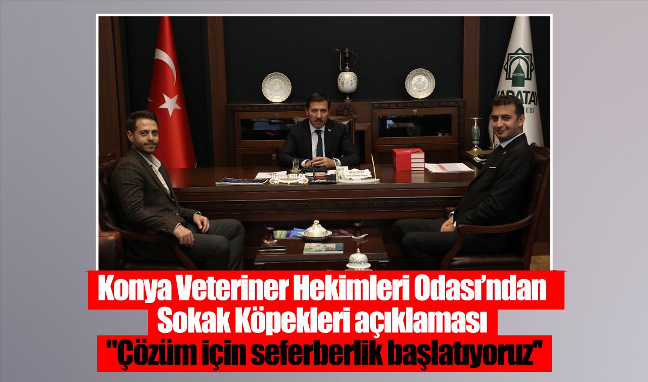 Konya Veteriner Hekimleri Odası’ndan Sokak Köpekleri açıklaması: “Çözüm için seferberlik başlatıyoruz’’