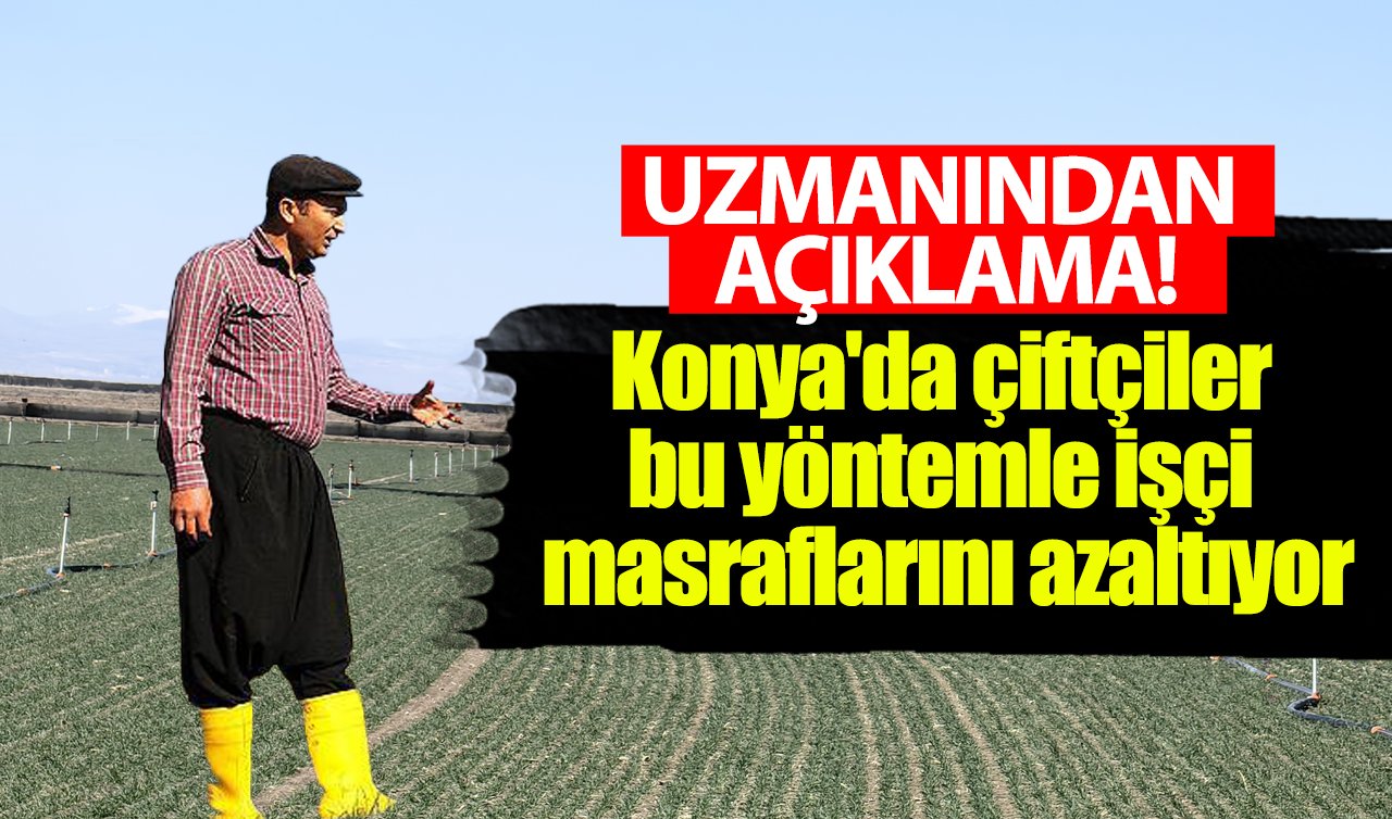 UZMANINDAN AÇIKLAMA! Konya’da çiftçiler bu yöntemle işçi masraflarını azaltıyor