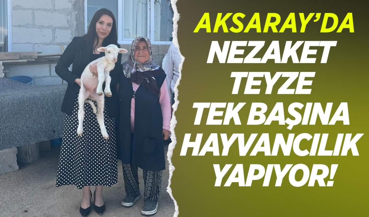 Aksaray’da Nezaket Teyze Tek Başına Hayvancılık Yapıyor! 