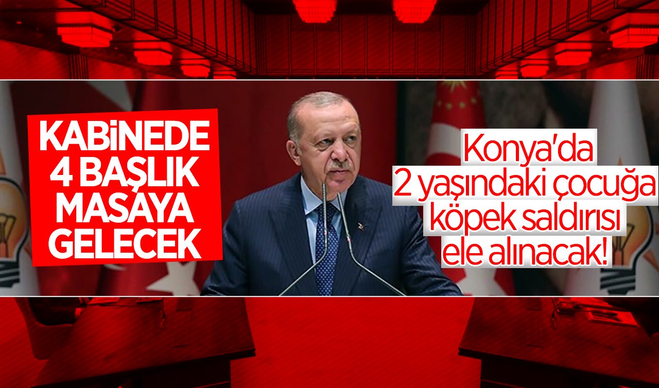 Kabine bugün toplanıyor! 4 başlık masaya gelecek: Konya’daki 2 yaşındaki çocuğa köpek saldırısı ele alınacak! 