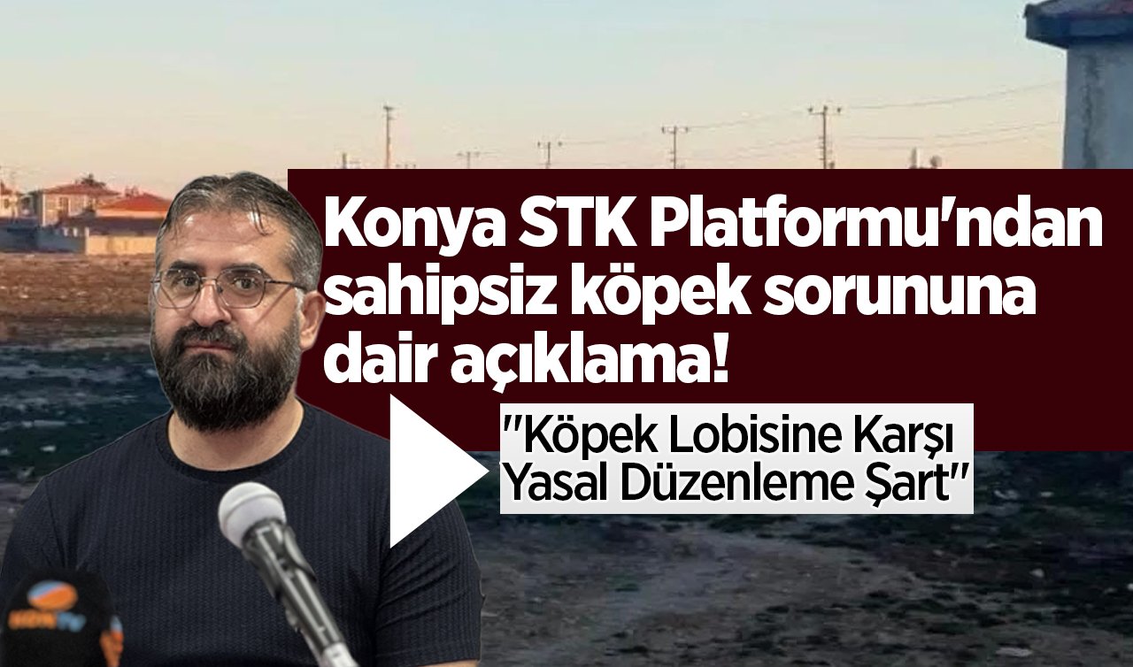 Konya STK Platformu’ndan sahipsiz köpek sorununa dair açıklama! “Köpek Lobisine Karşı Yasal Düzenleme Şart“