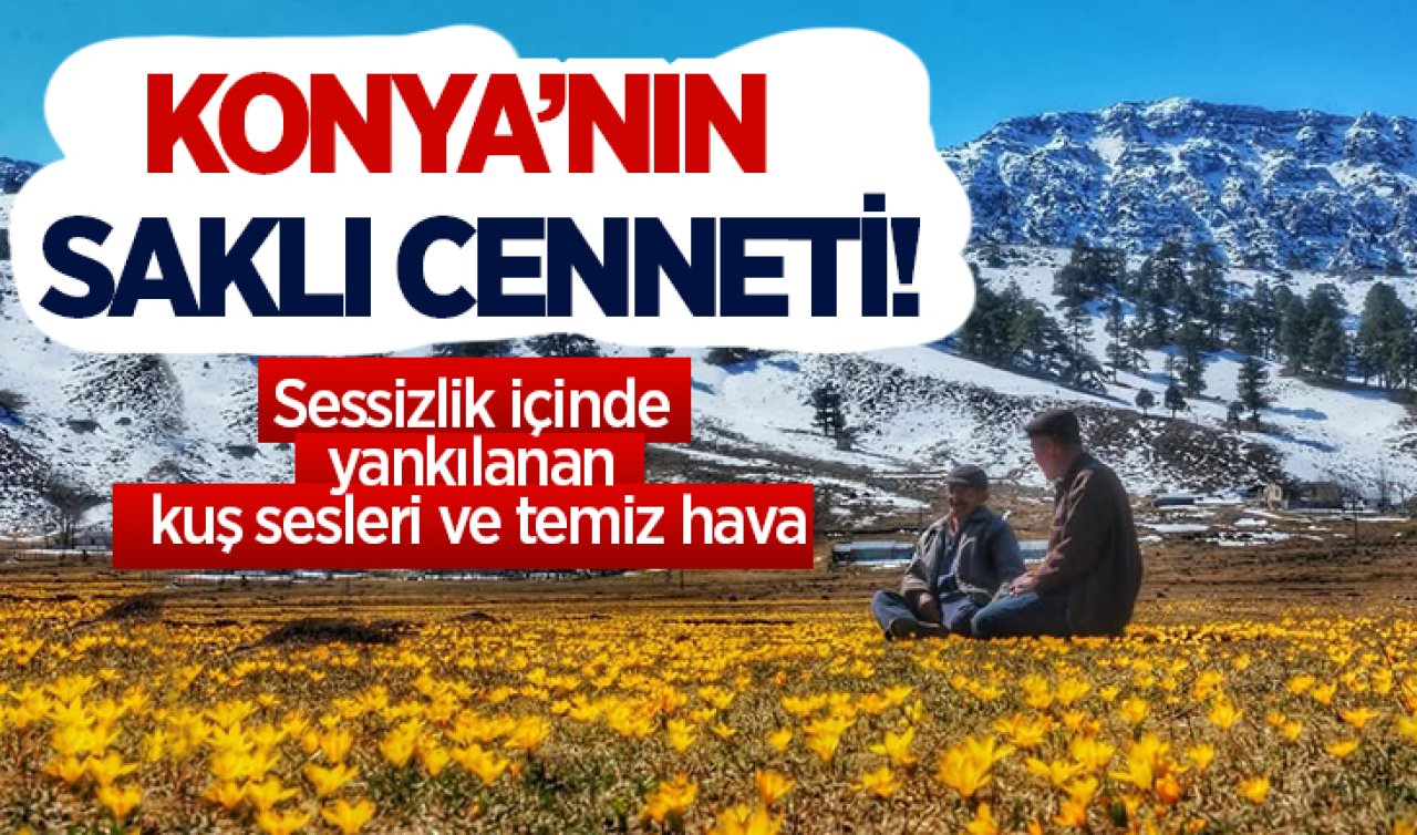 Konya’nın saklı cenneti! Doğayla baş başa kalmak isteyenler için eşsiz bir alternatif sunuyor