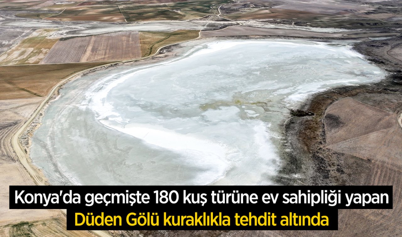 Konya’da geçmişte 180 kuş türüne ev sahipliği yapan Düden Gölü kuraklıkla tehdit altında