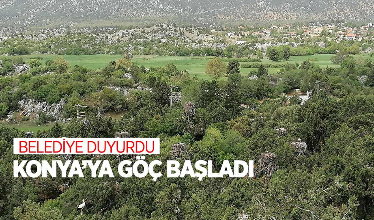 Belediye duyurdu! Konya’ya göç başladı