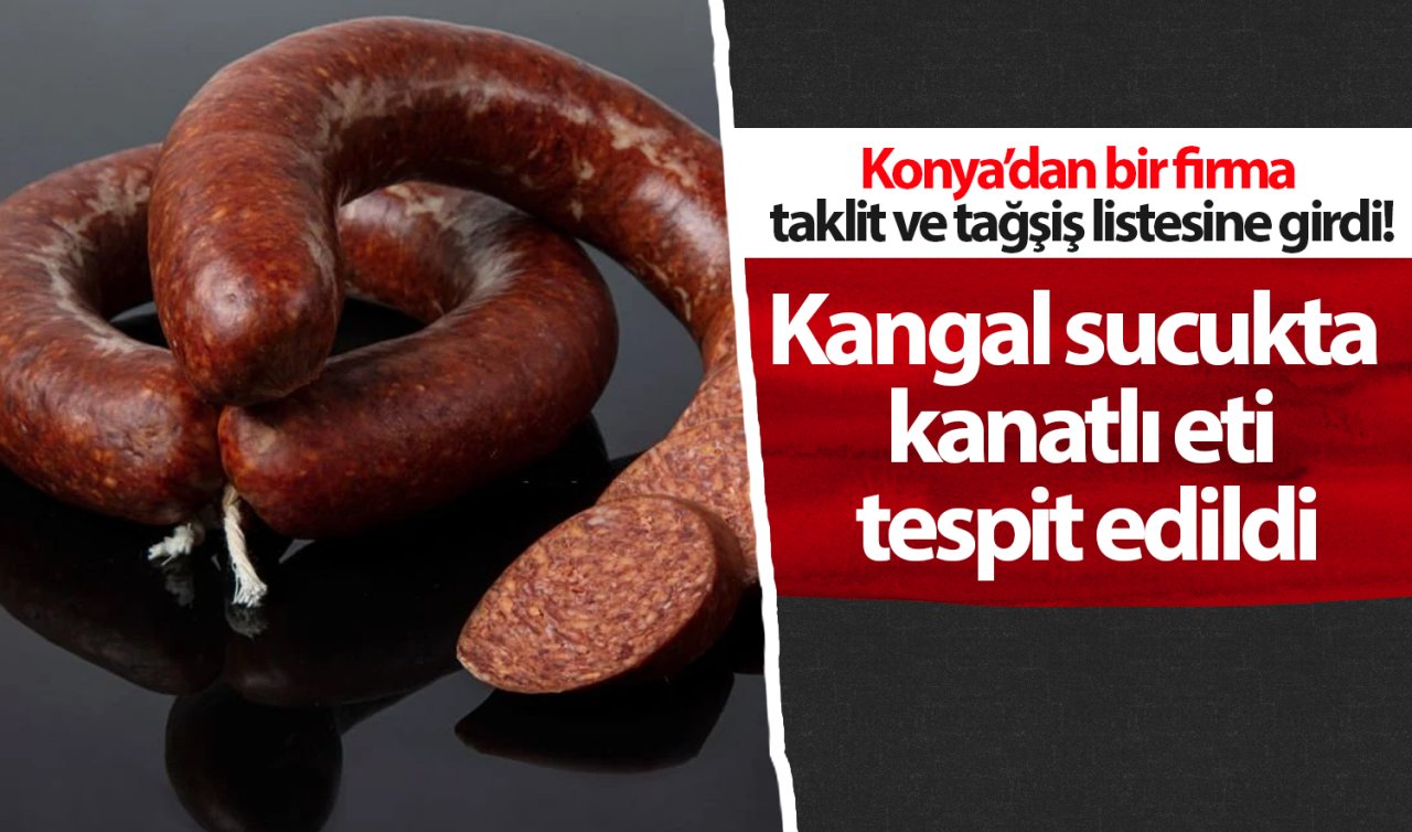 Konya’dan bir firma taklit ve tağşiş listesine girdi! Kangal sucukta kanatlı eti tespit edildi 