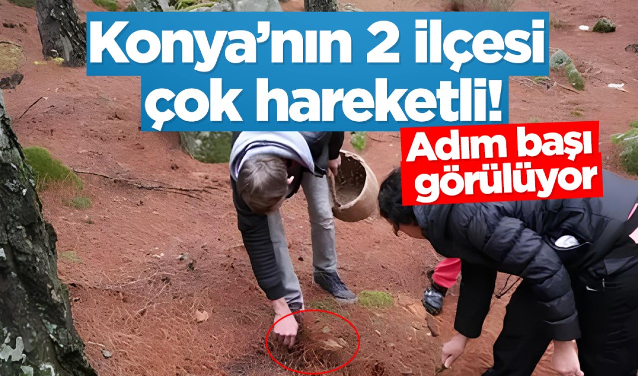 Konya’nın 2 ilçesi çok hareketli Adım başı görülüyor kilosu 1200 lira ediyor