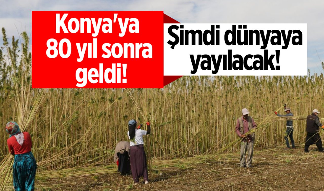 Konya’ya 80 yıl sonra geldi Şimdi dünyaya yayılacak