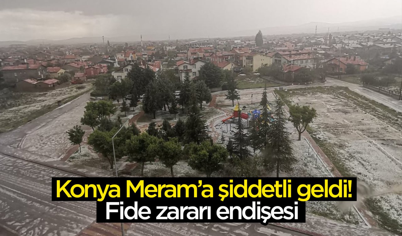 Konya Meram’a şiddetli geldi Fide zararı endişesi