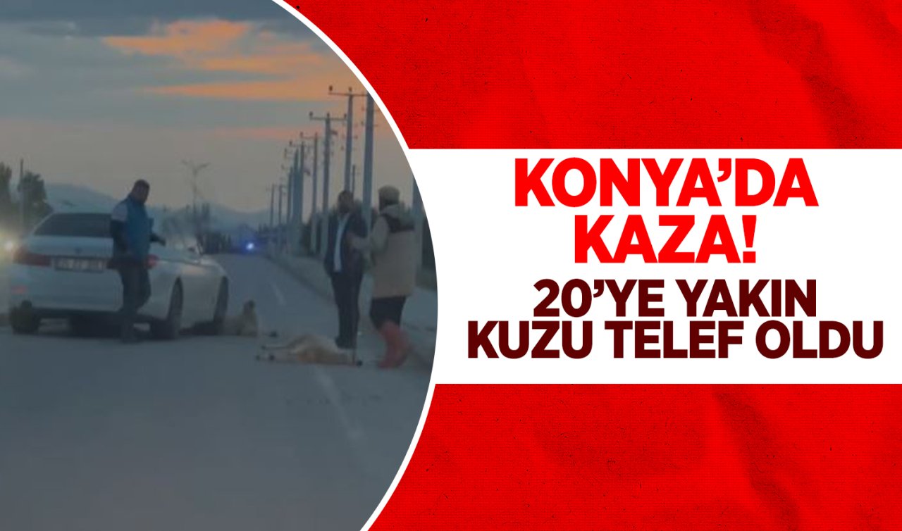 Konya’da kaza 20’ye yakın kuzu telef oldu