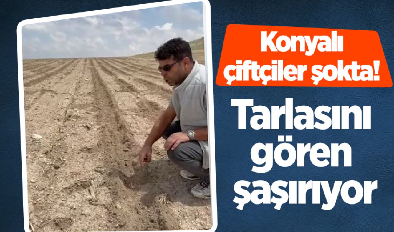 Konyalı çiftçiler şokta Tarlasını gören şaşırıyor
