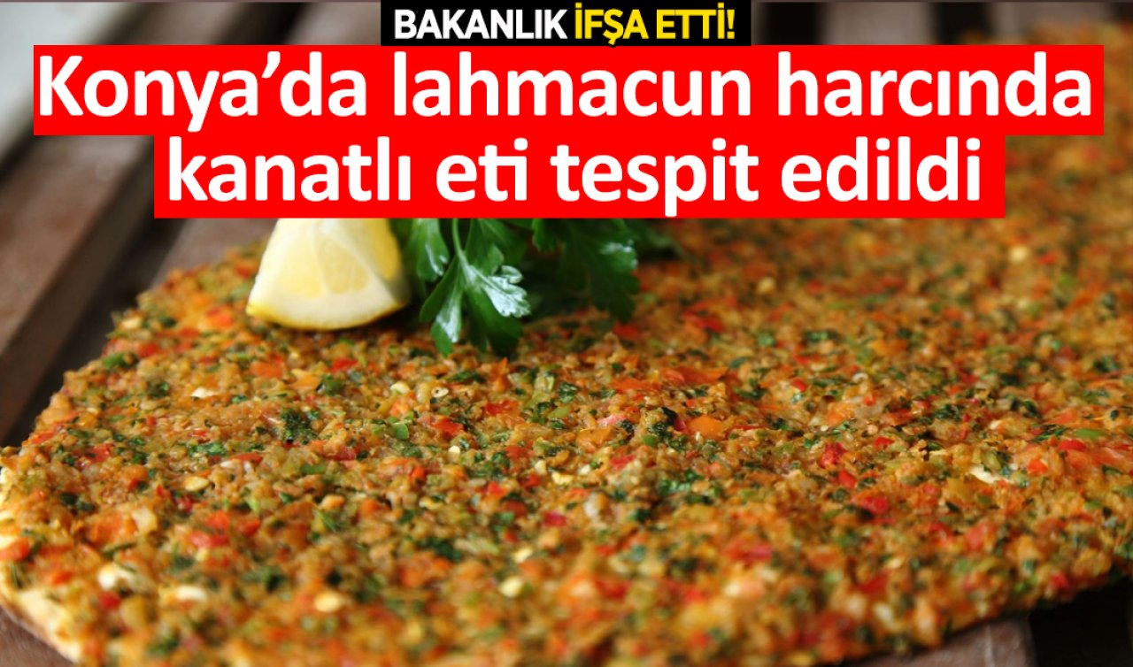 Bakanlık ifşa etti Konya’da lahmacun harcında kanatlı eti tespit edildi