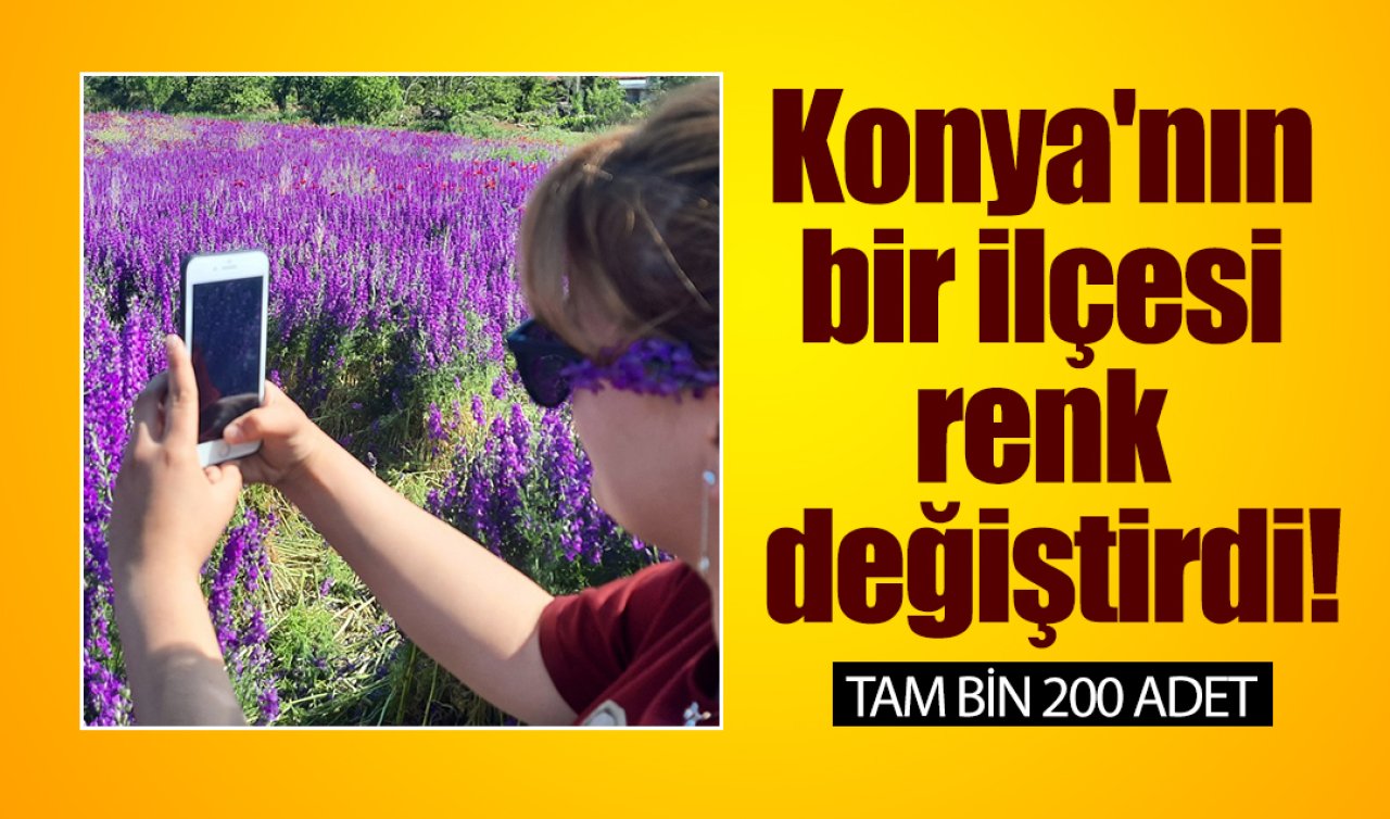 Konya’nın bir ilçesi renk değiştirdi Gören burada yaşamak istiyor: TAM bin 200 adet