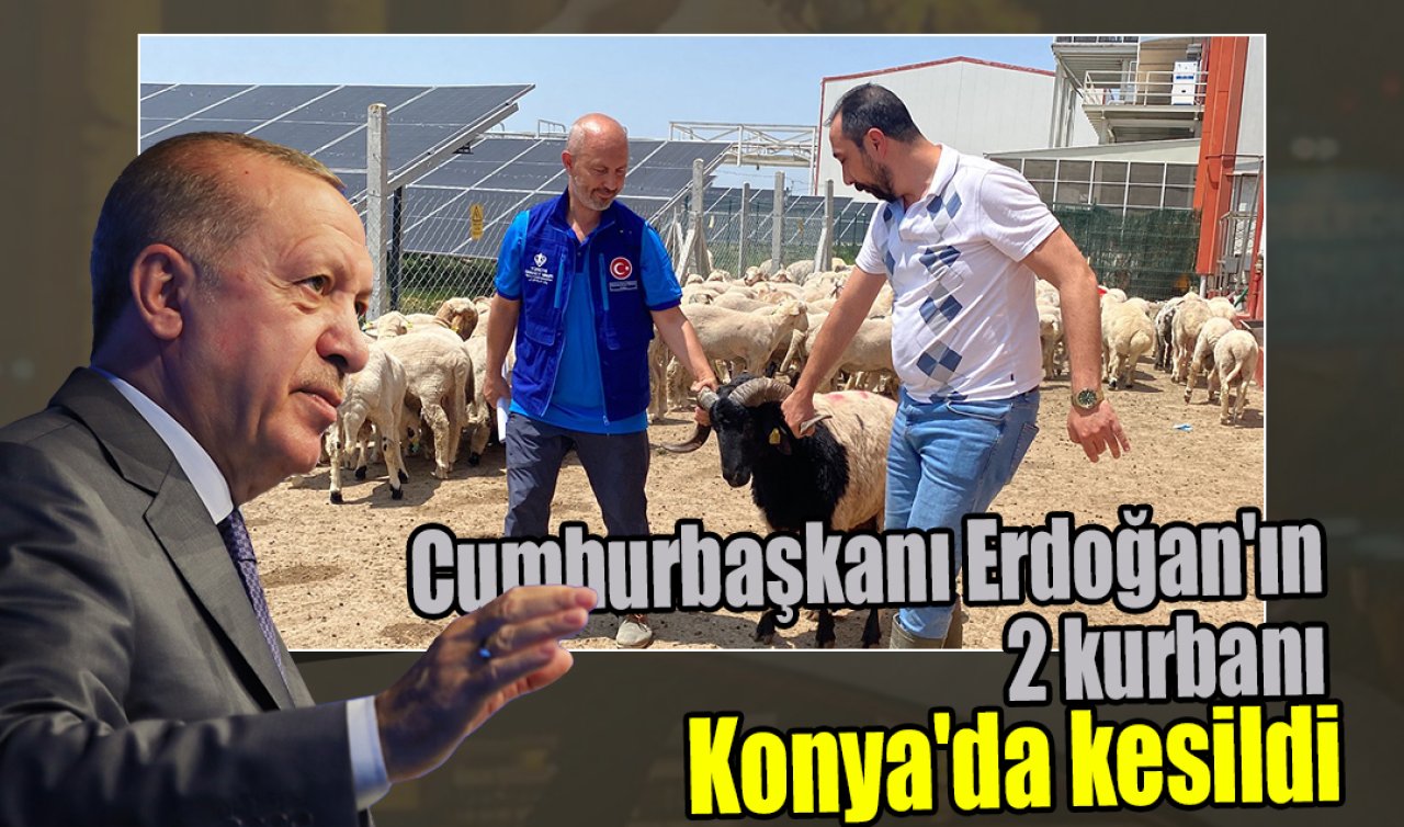 Cumhurbaşkanı Erdoğan’ın 2 kurbanı Konya’da kesildi